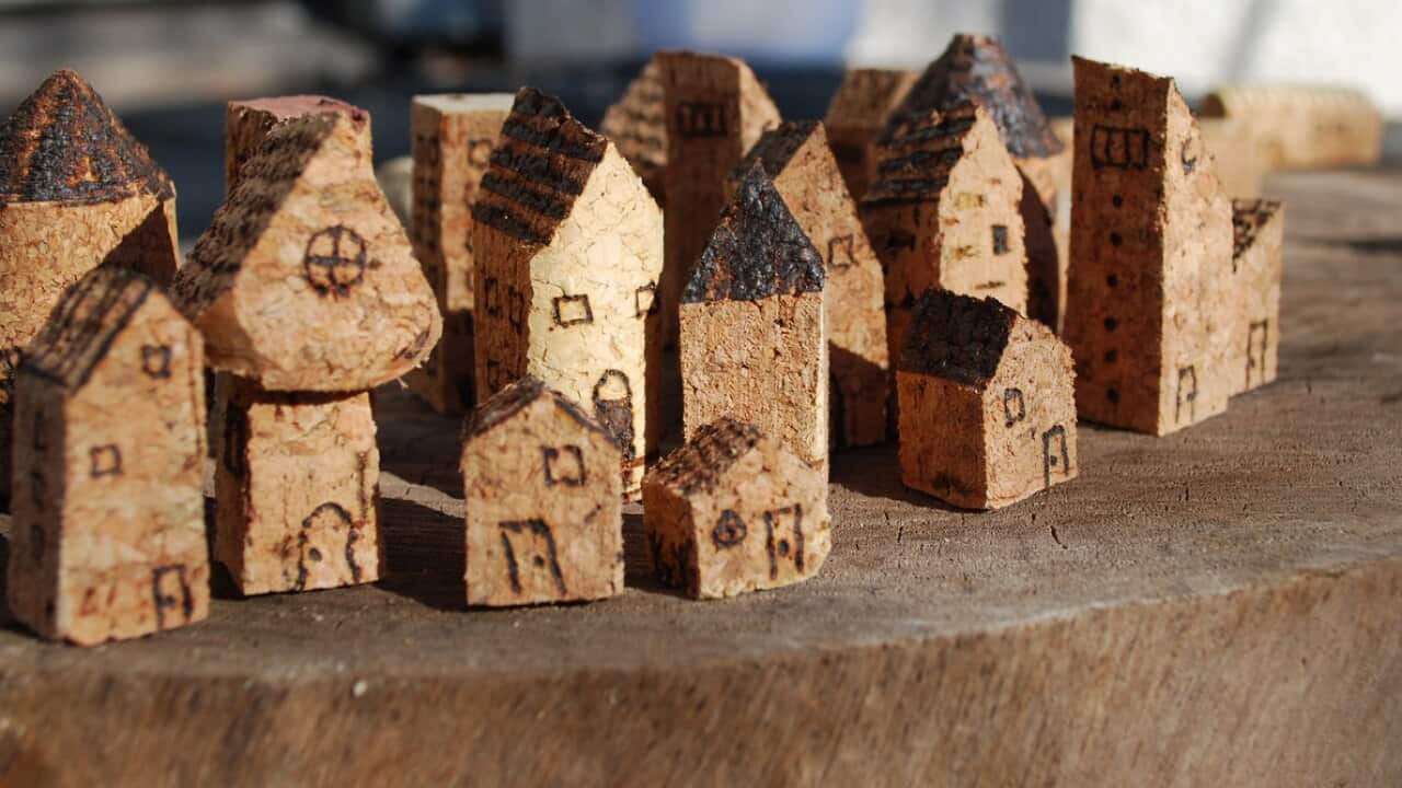 Tiny houses: the big idea that could take some heat out of the housing crisis.