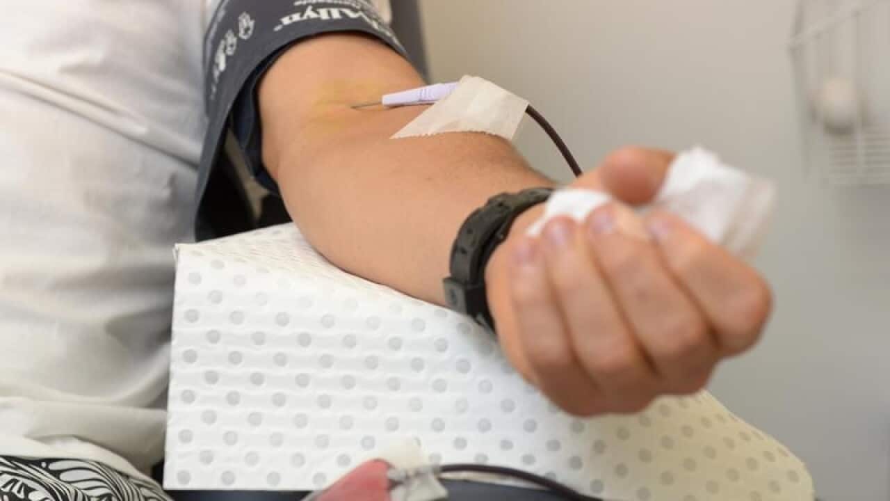 A person gives blood.