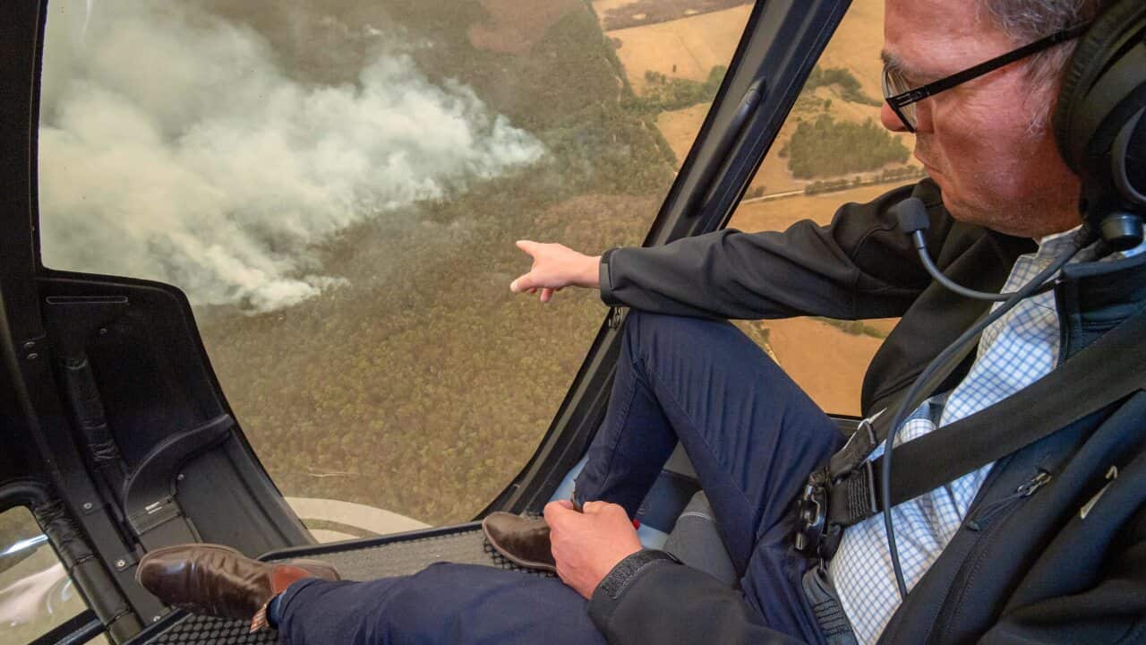 Image for read more article 'Más información'