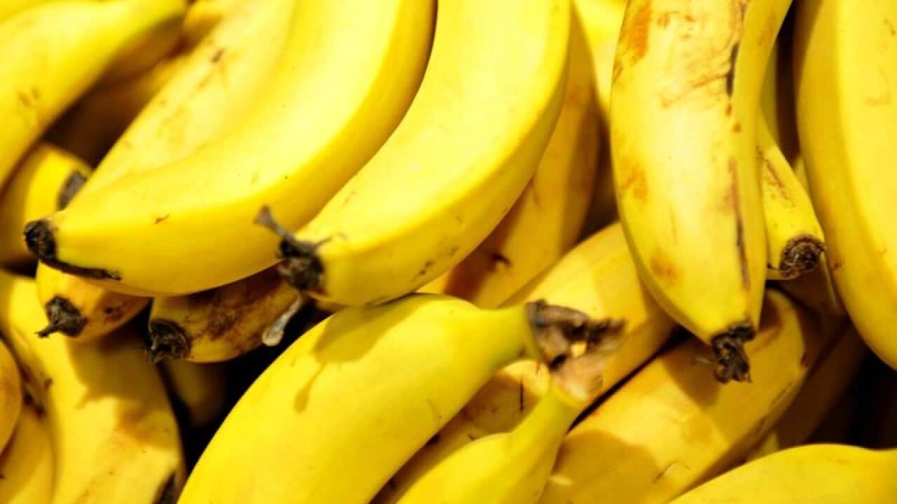 Bananas in a supermarket.
