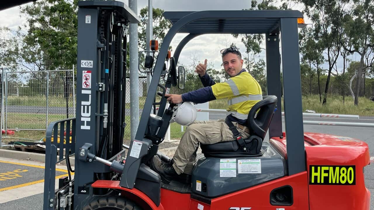 angelo 1 muletto.jpg