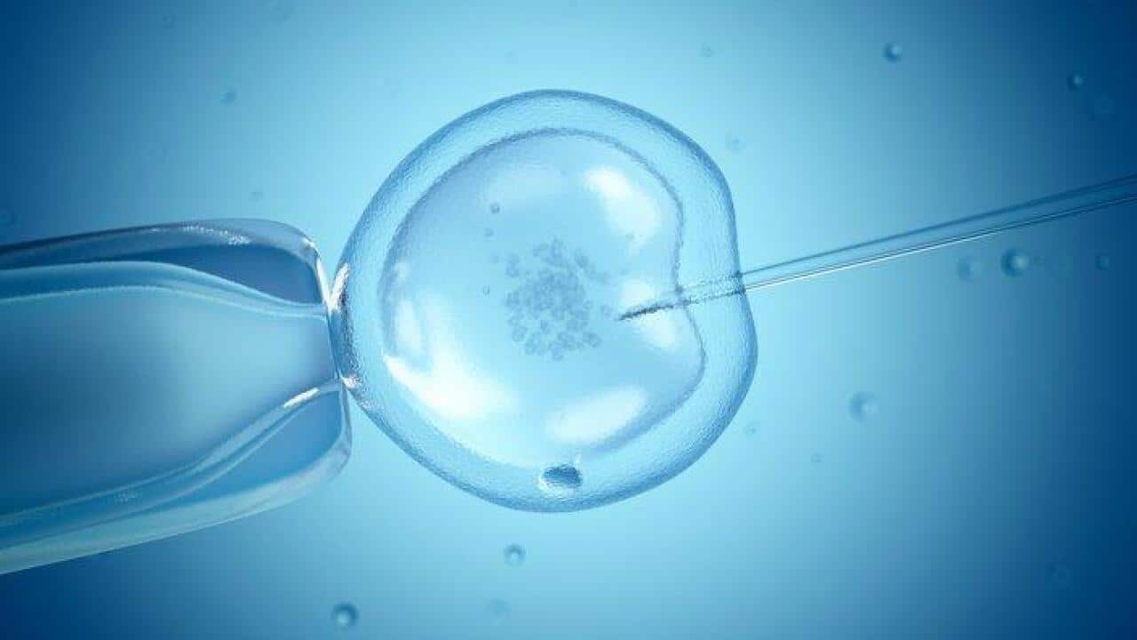 One woman's experience of IVF.