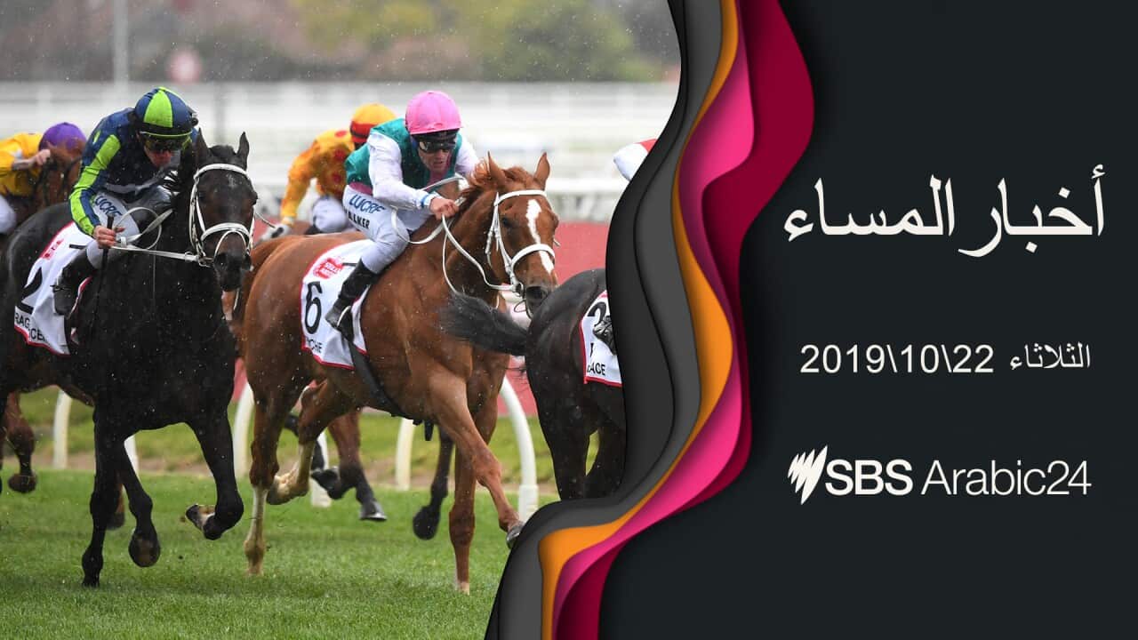 Horses in a race in Australia