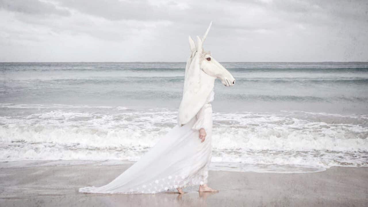 Aldona Kmiec Photography