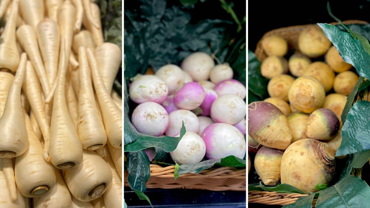 Parsnip (1).png