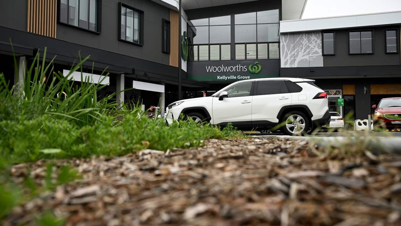 ASBESTOS CONTAMINATION SYDNEY