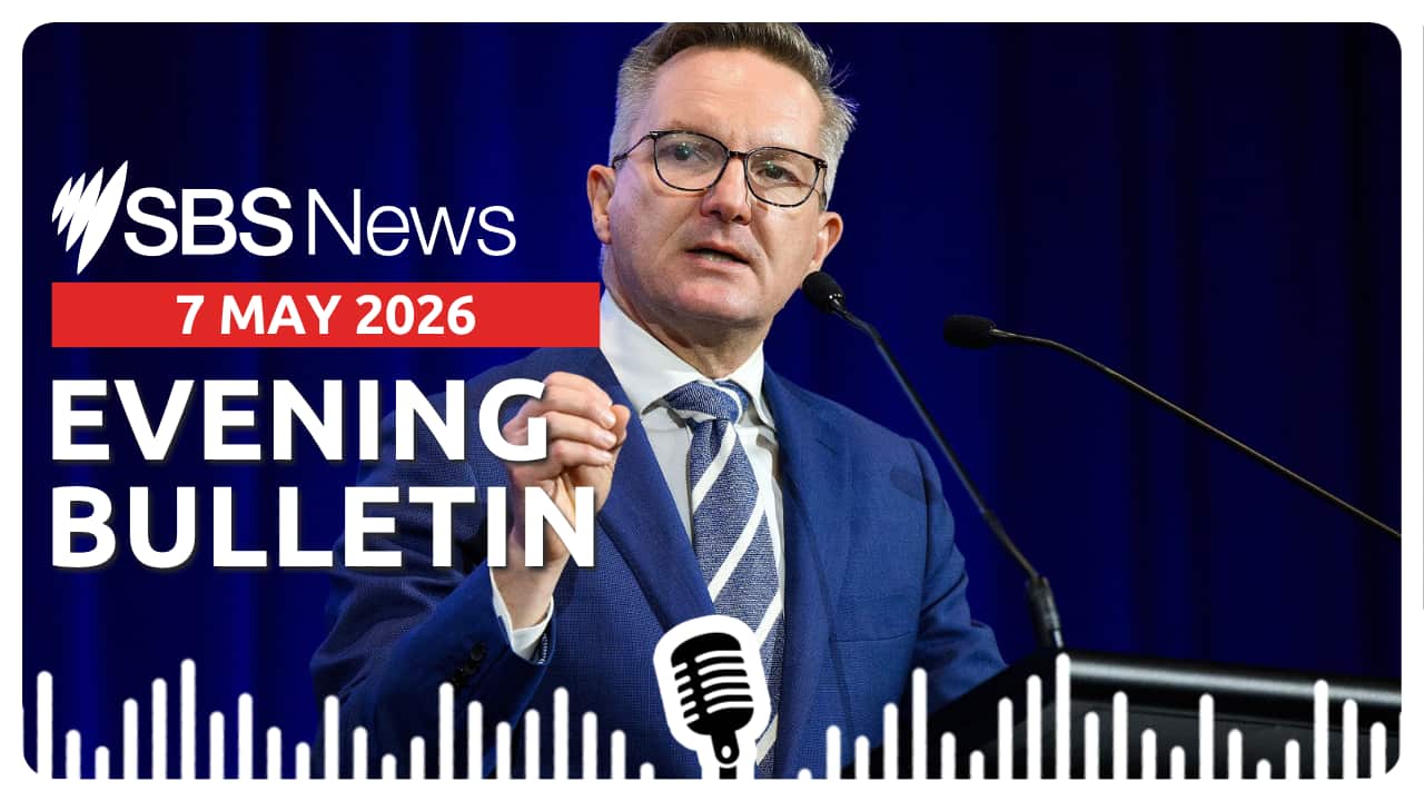 AFTERNOON BULLETIN (1).png