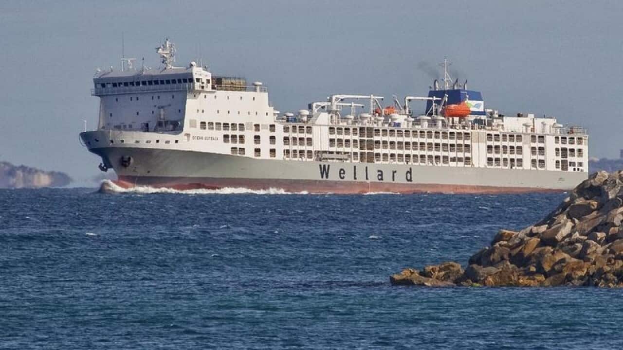 Ships used by Wellard