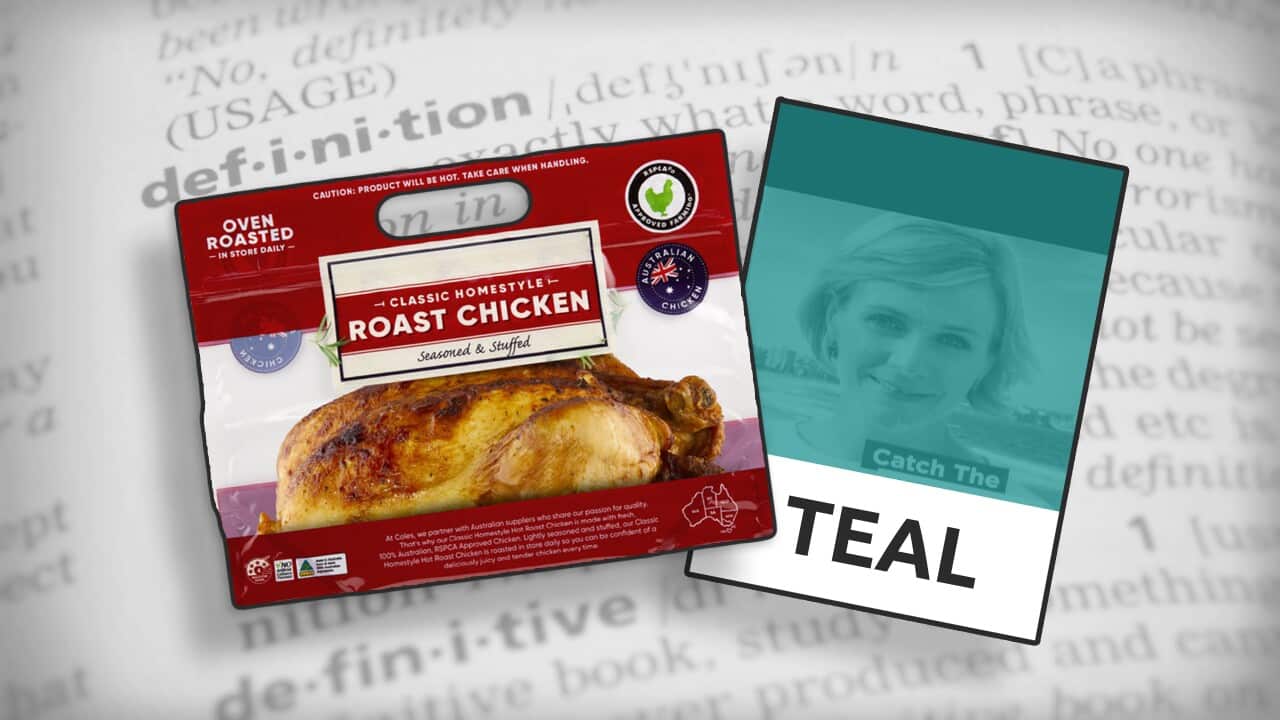 Graphic featuring dictionary background, with a roast chicken in a bag and a teal-coloured picture of Zali Steggall overlayed.
