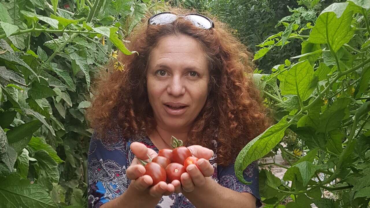 Hallely Kimchi