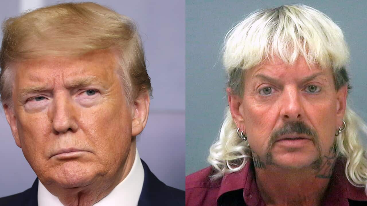 With his tongue-in-cheek, US President Donald Trump says he will 'take a look' at the high-profile case surrounding Joe Exotic.