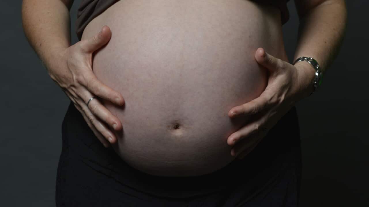Pregnancy stock in Sydney