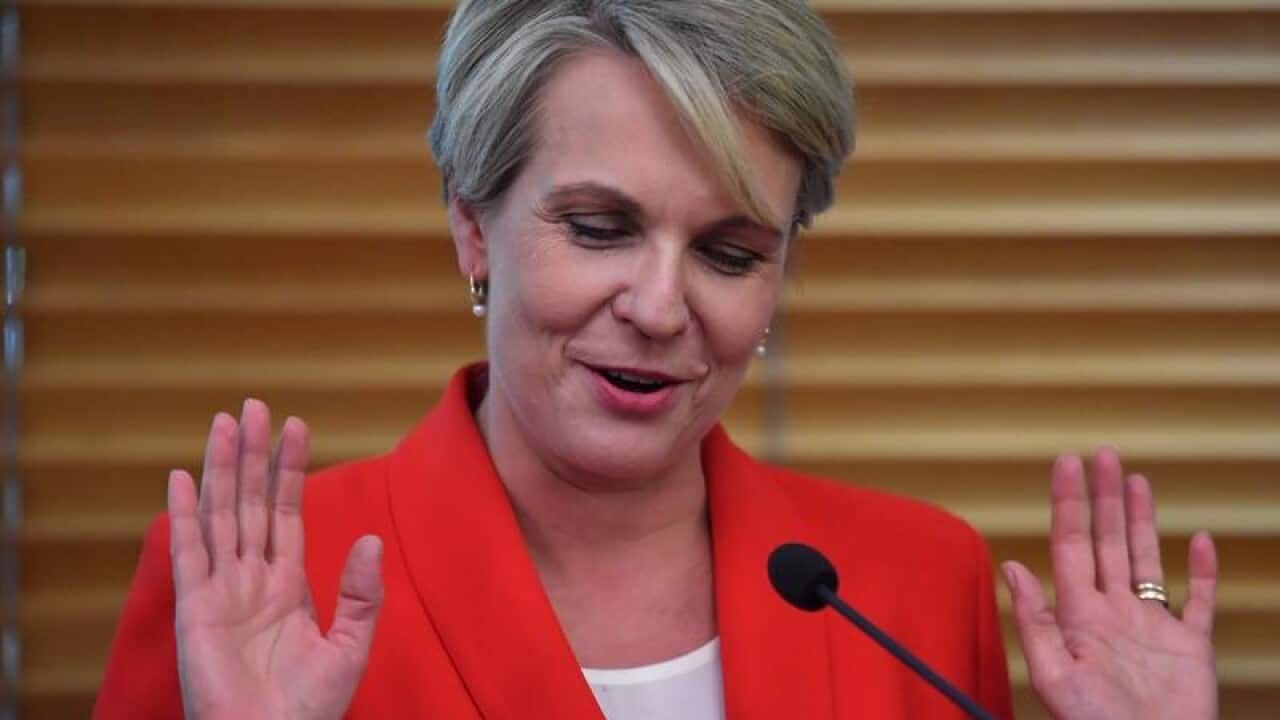 Deputy Leader of the Opposition Tanya Plibersek