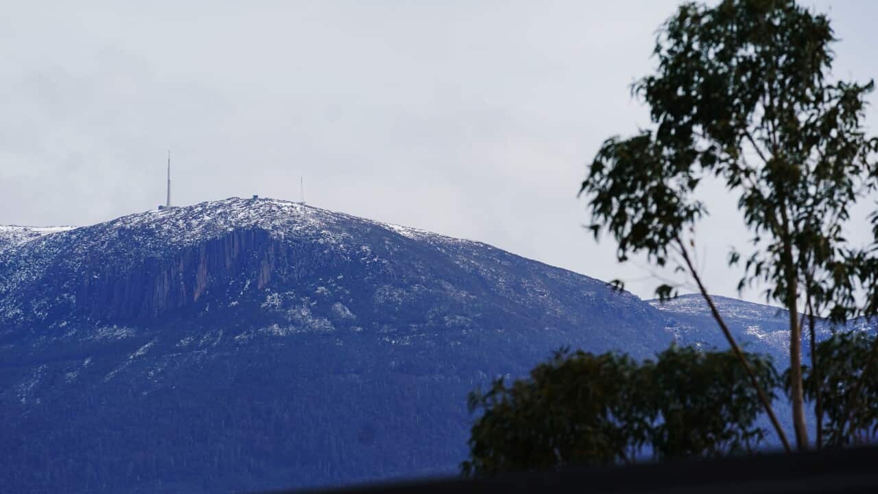 A group of Aboriginal heritage officers have voiced opposition to a proposed cable car on Hobart's kunanyi/Mount Wellington.