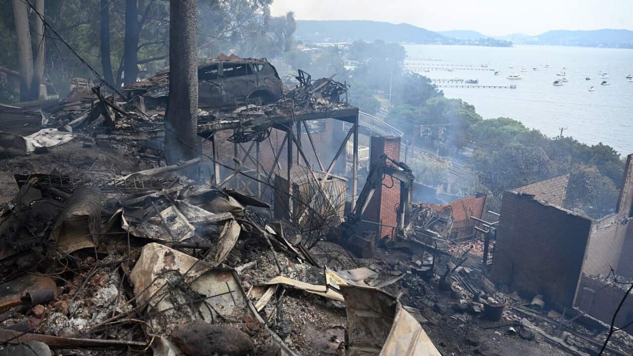 BUSHFIRE CENTRAL COAST