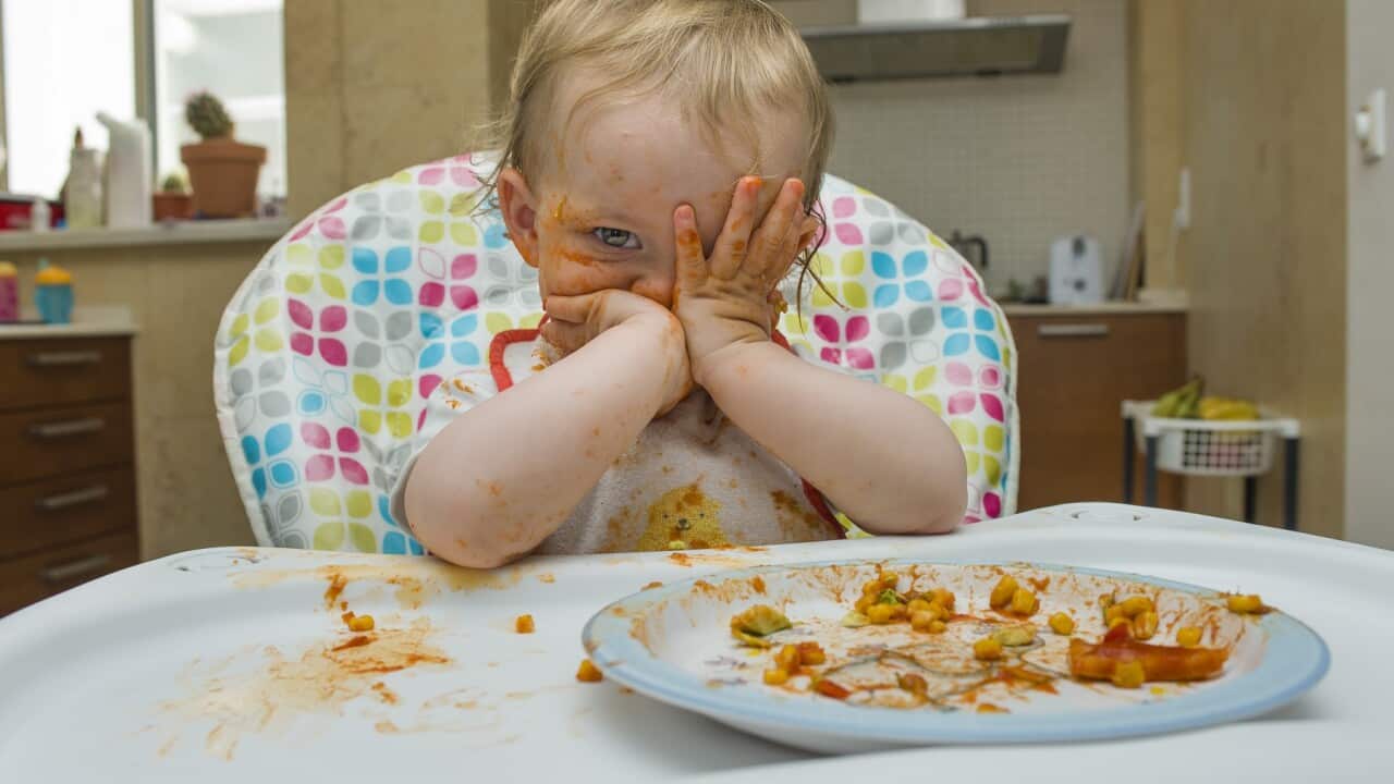Baby girl eats on a high chair