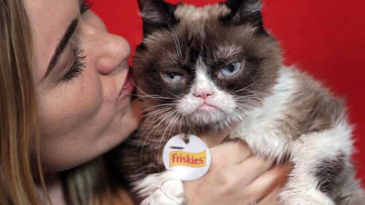 Grumpy Cat and her owner