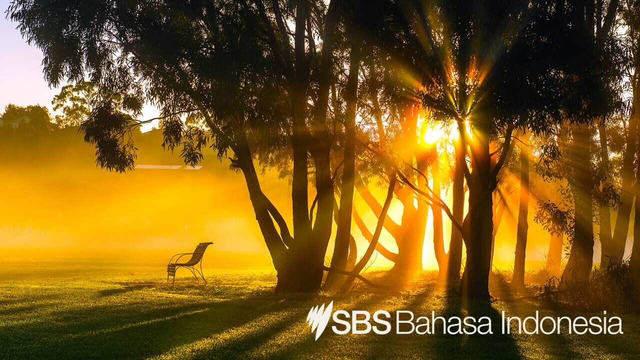 SBS News Indonesian Program – 21 Jun 2021