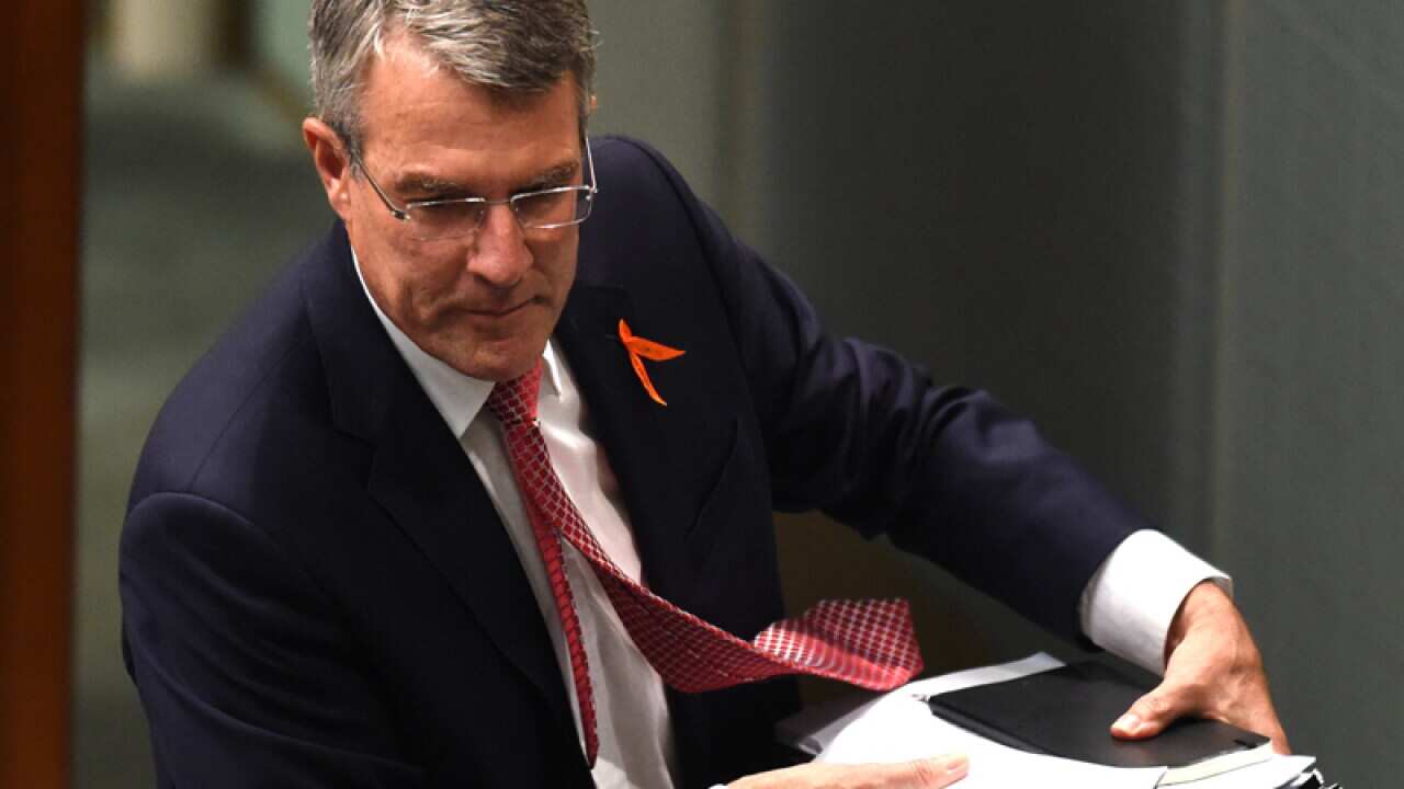 Federal Shadow Attorney General Mark Dreyfus.