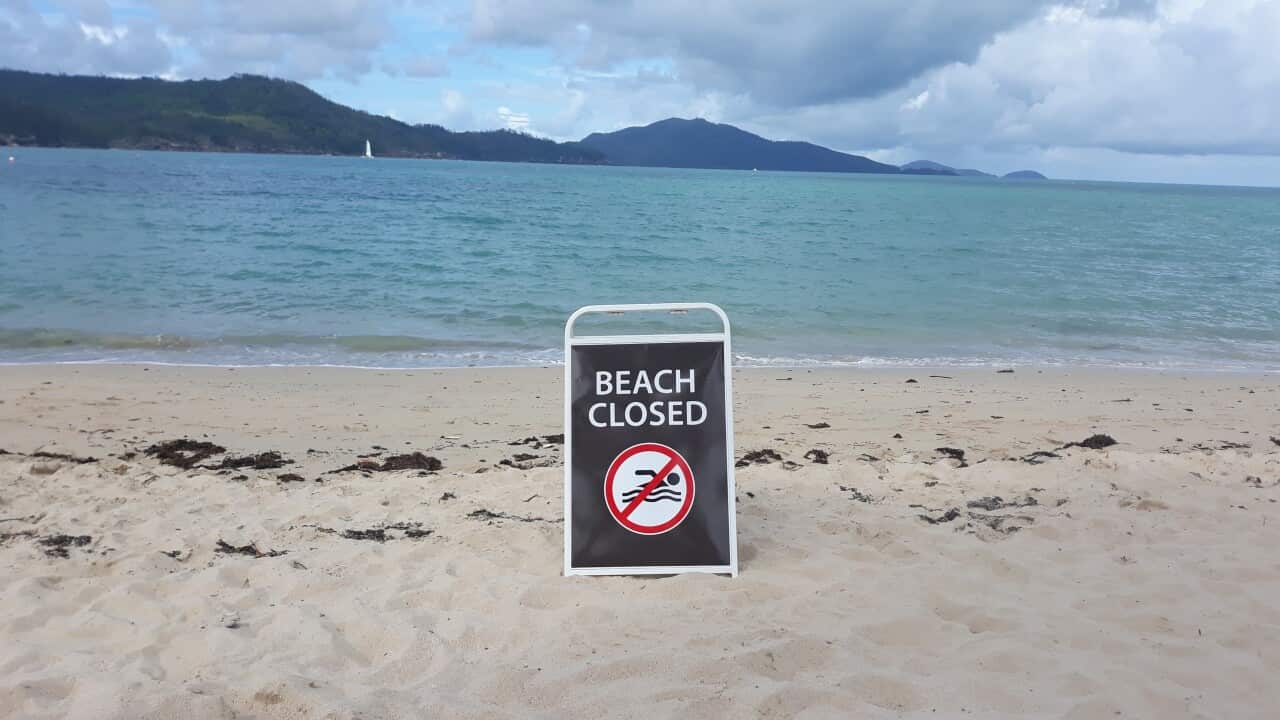 A girl and a woman have been attacked by a shark in shallow waters off Queensland's Hamilton Island.