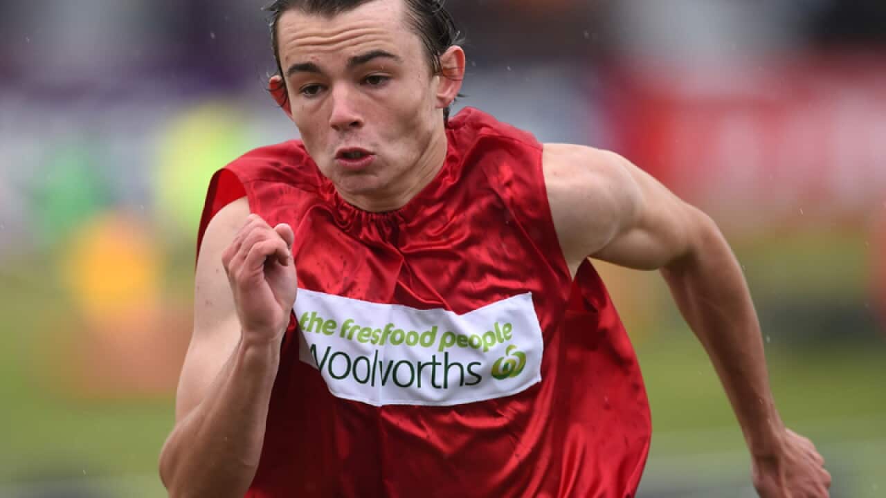 Jack Hale runs in semi-final three of the Stawell Gift
