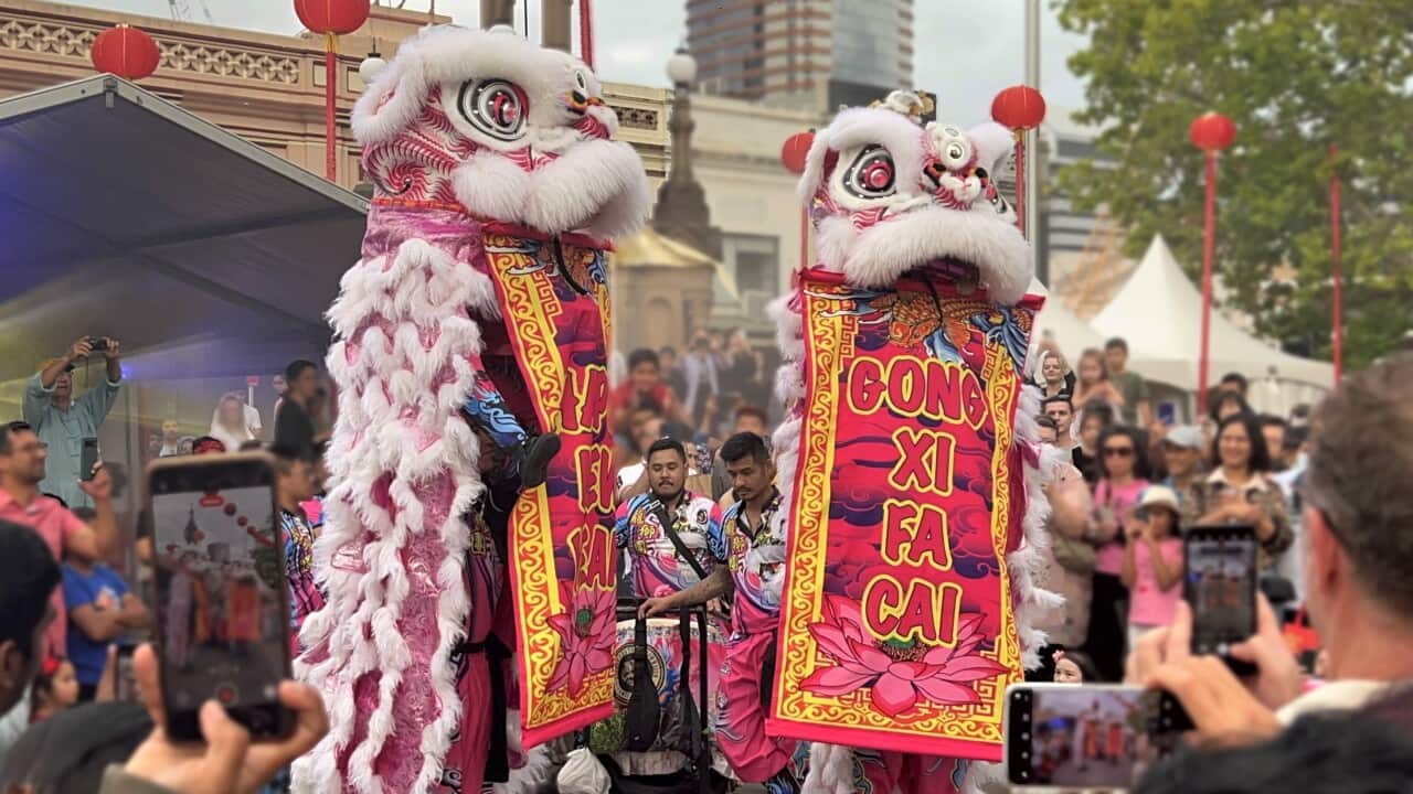 LNY 2023 SBS Filipino Annalyn Violata.jpg