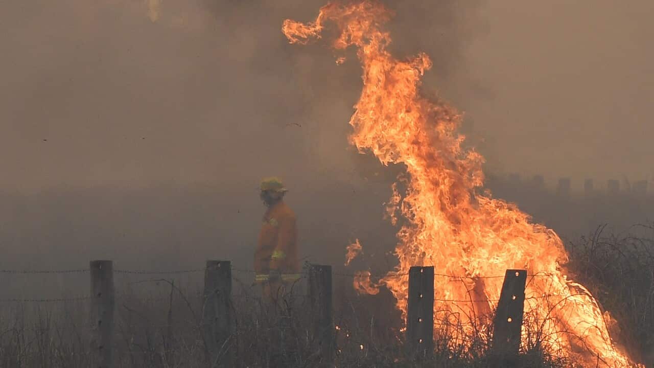 Fires at the Bunyip State Park.
