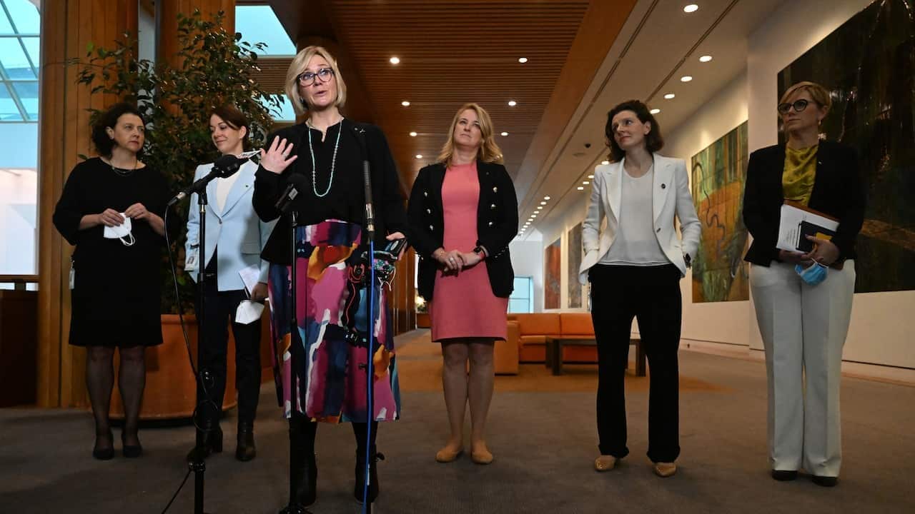The so-called teal independents - Monique Ryan, Sophie Scamps, Zali Steggall, Kylea Tink, Allegra Spender and Zoe Daniel held a joint press conference to express their support for Labor's climate change bill.