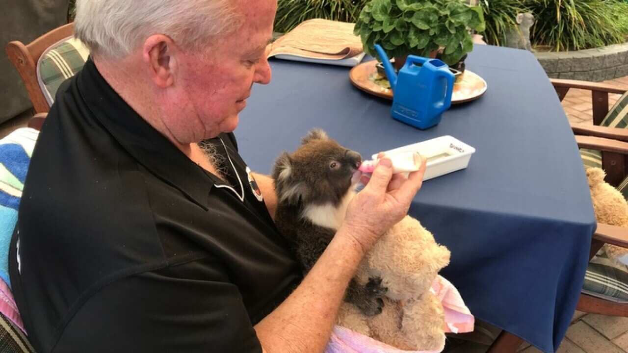 Hartley Head feeding baby Duncan