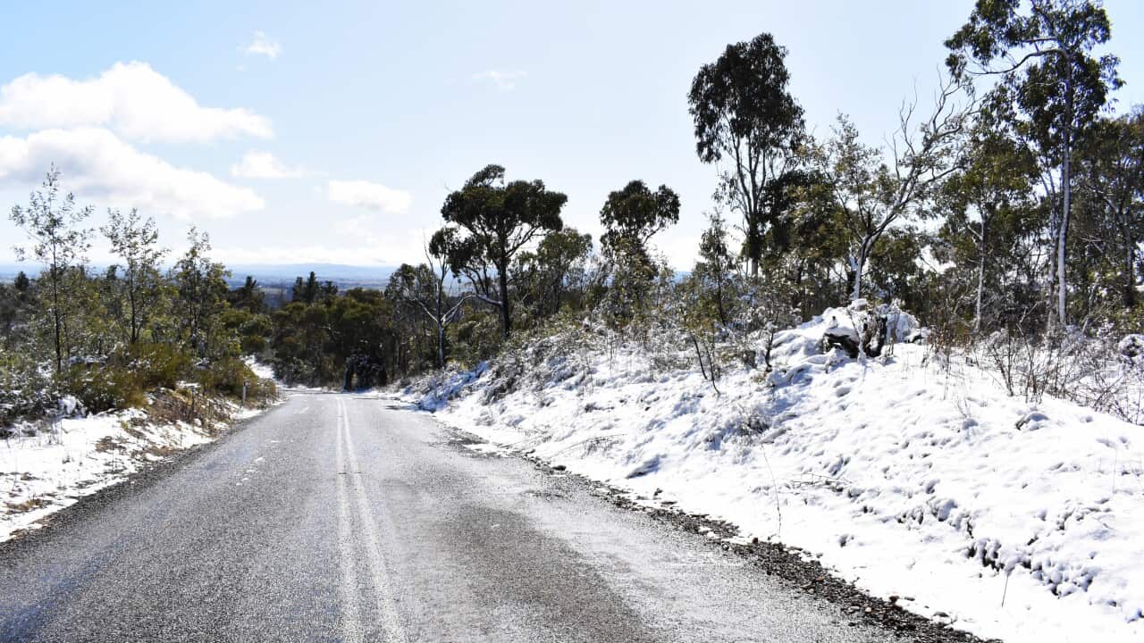 SNOW NSW