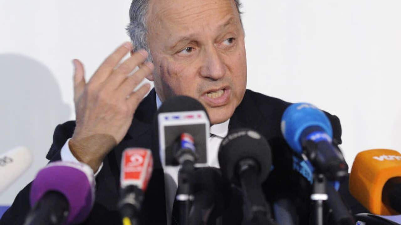 france_fabius_aap_130119_b_333628349