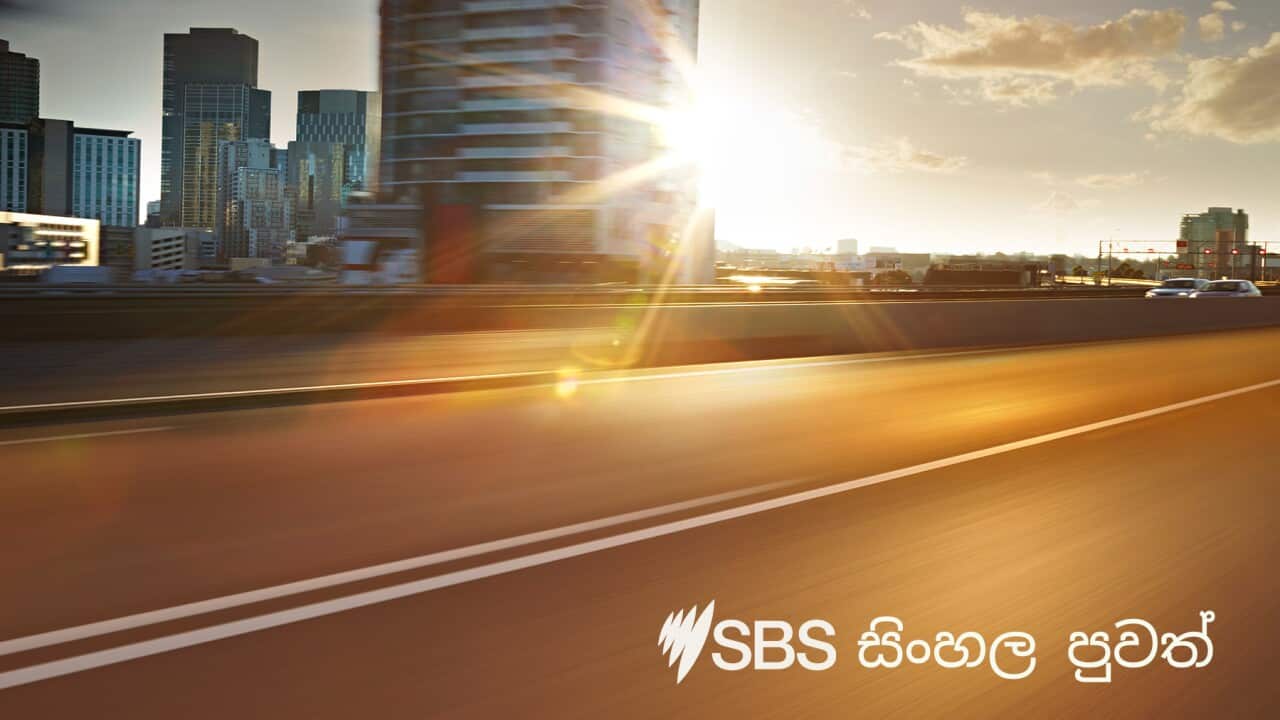 SBS Sinhalese news - 18 June 2020