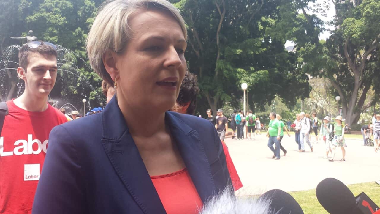 Deputy federal opposition leader Tanya Plibersek