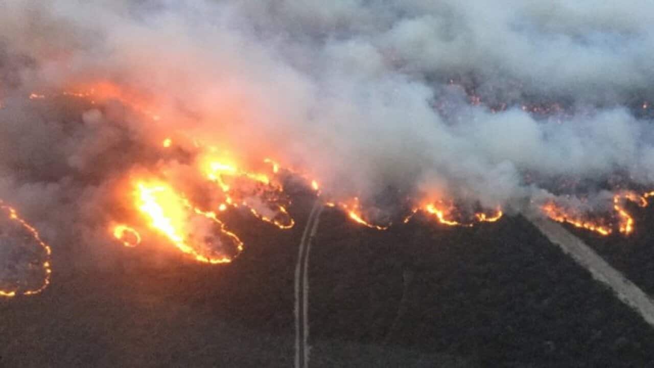 AAP Image/Supplied by CFA