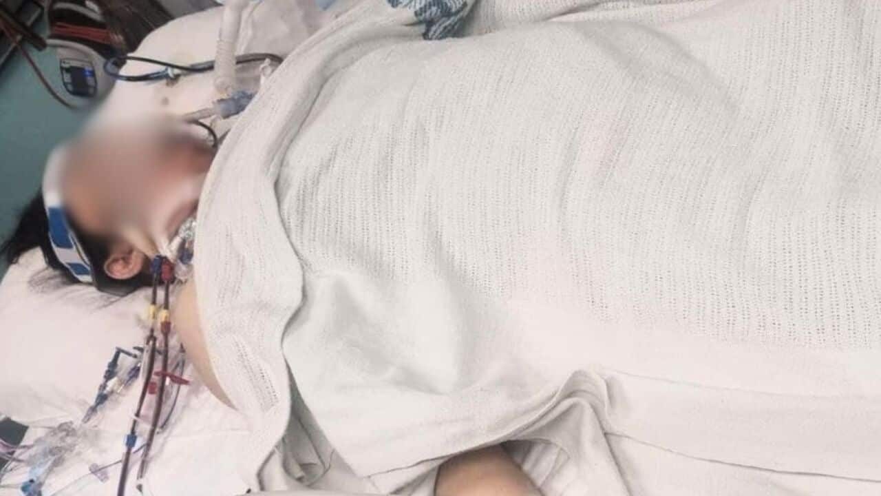 Image for read more article ''