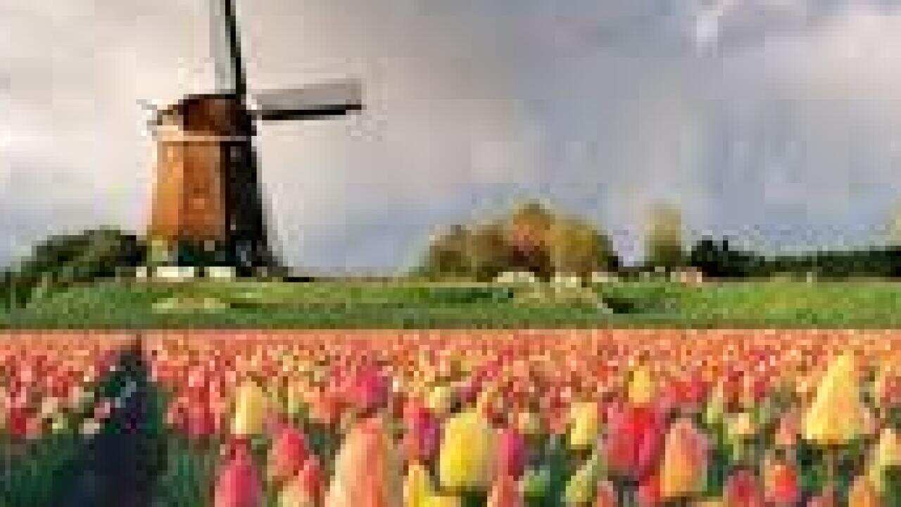 2nd inquiry into dutchness, van der sisj