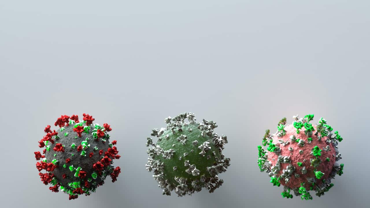 Covid-19 Omicron sign