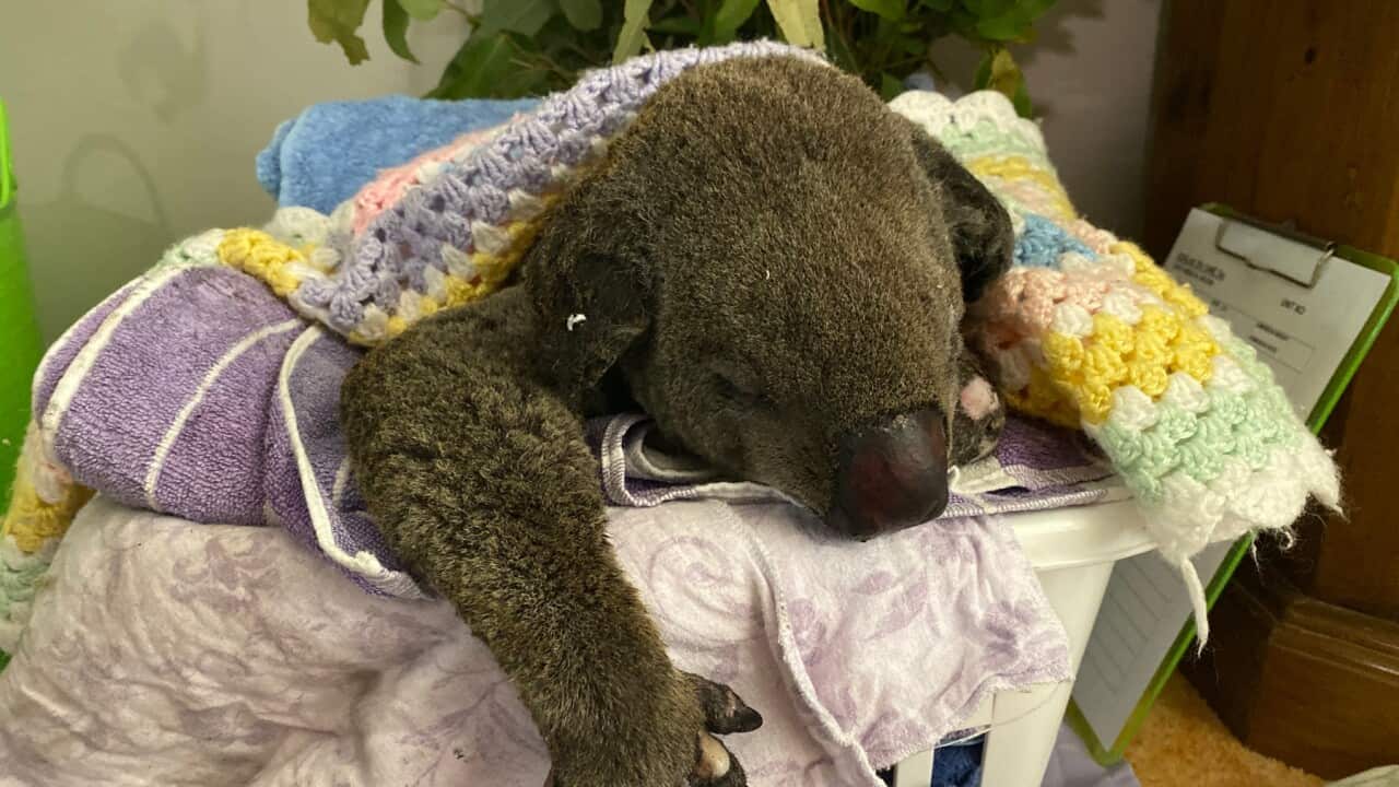 Image for read more article 'READ MORE'