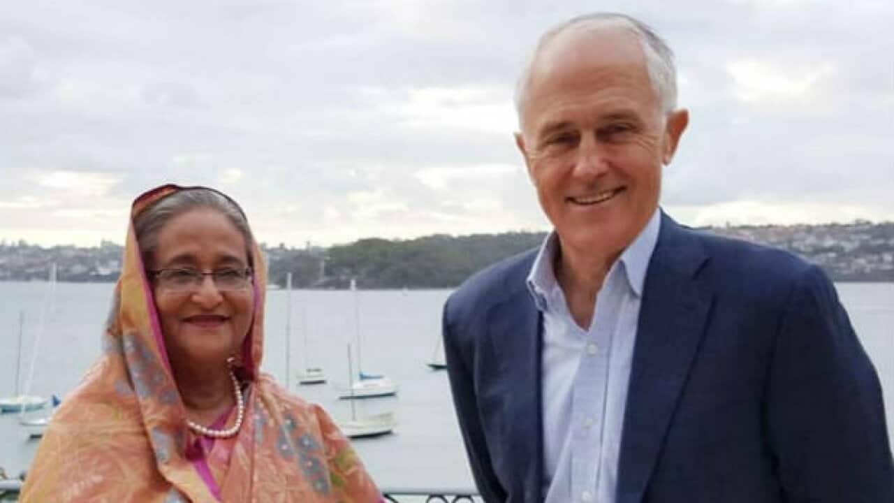 Hasina Turnbull