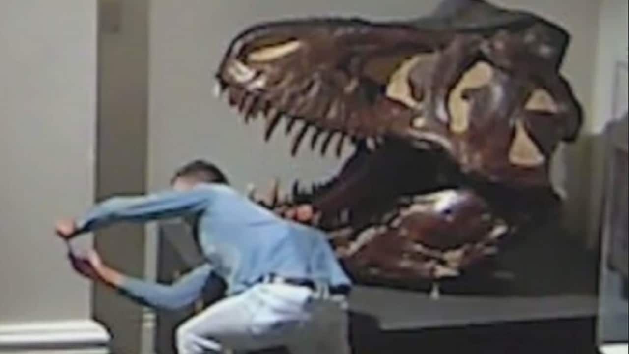 Hombre entra al Australian Museum