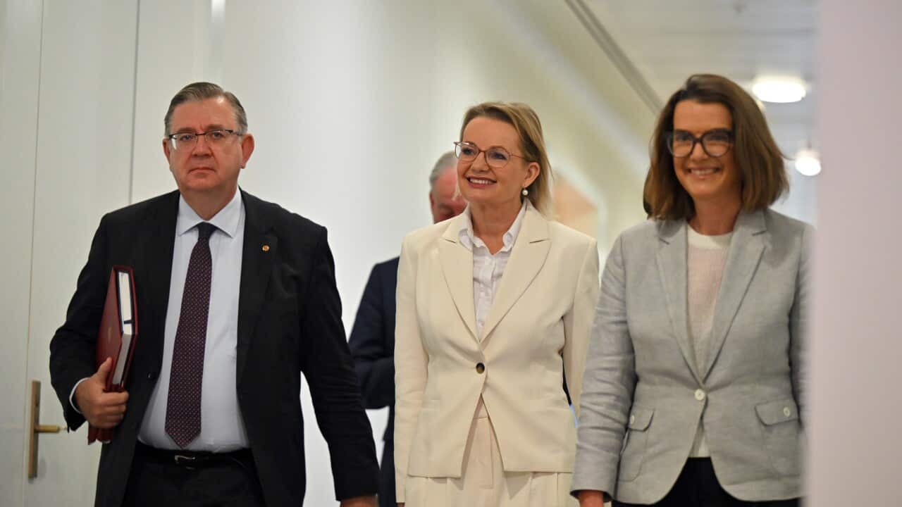 LIBERAL LEADERSHIP SPILL