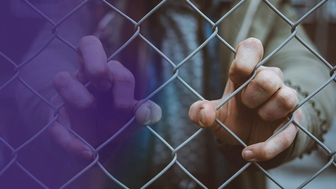 Hands holding a fence