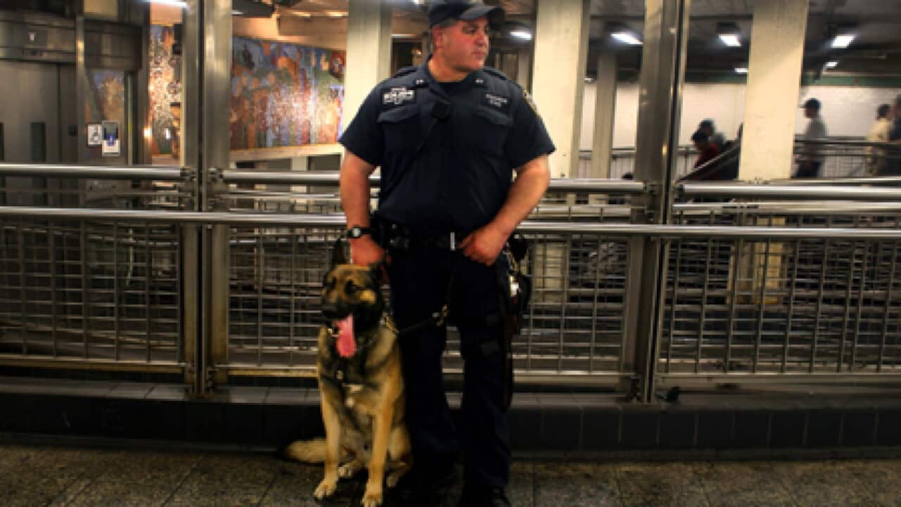 times_square_cop_dog_100504_B_getty_16875062