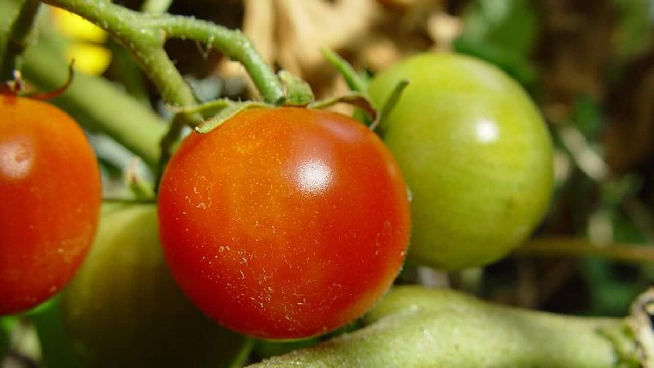 Image for read more article ''