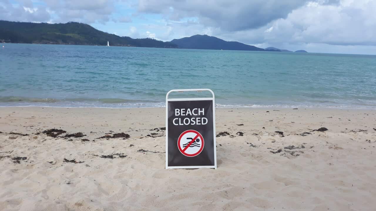 A girl and a woman have been attacked by a shark in shallow waters off Queensland's Hamilton Island.
