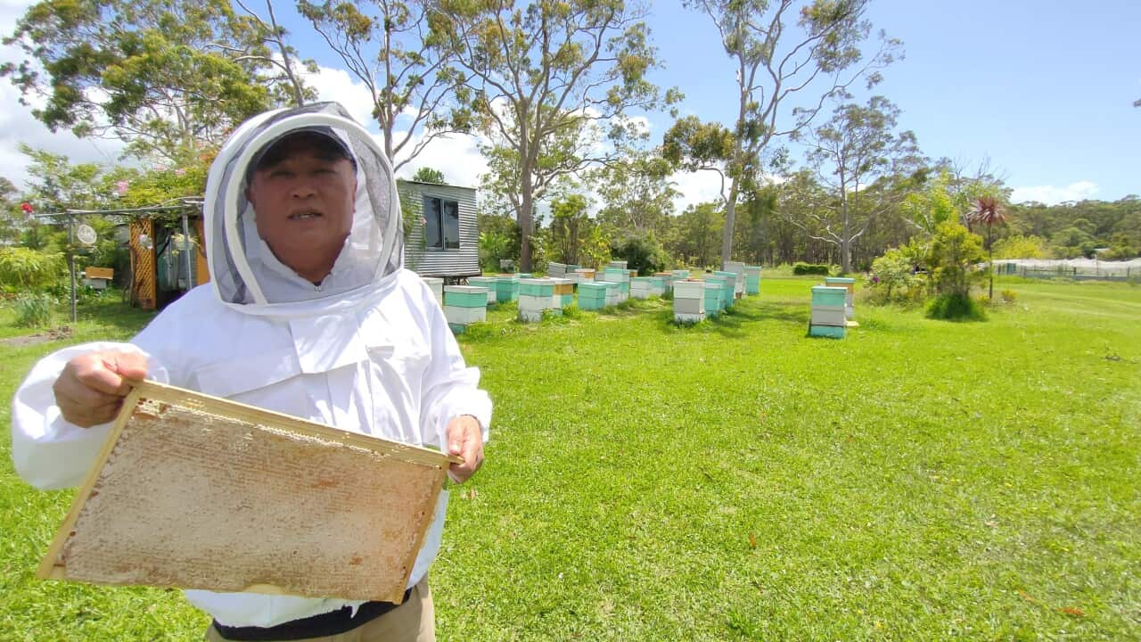 Image for read more article ''