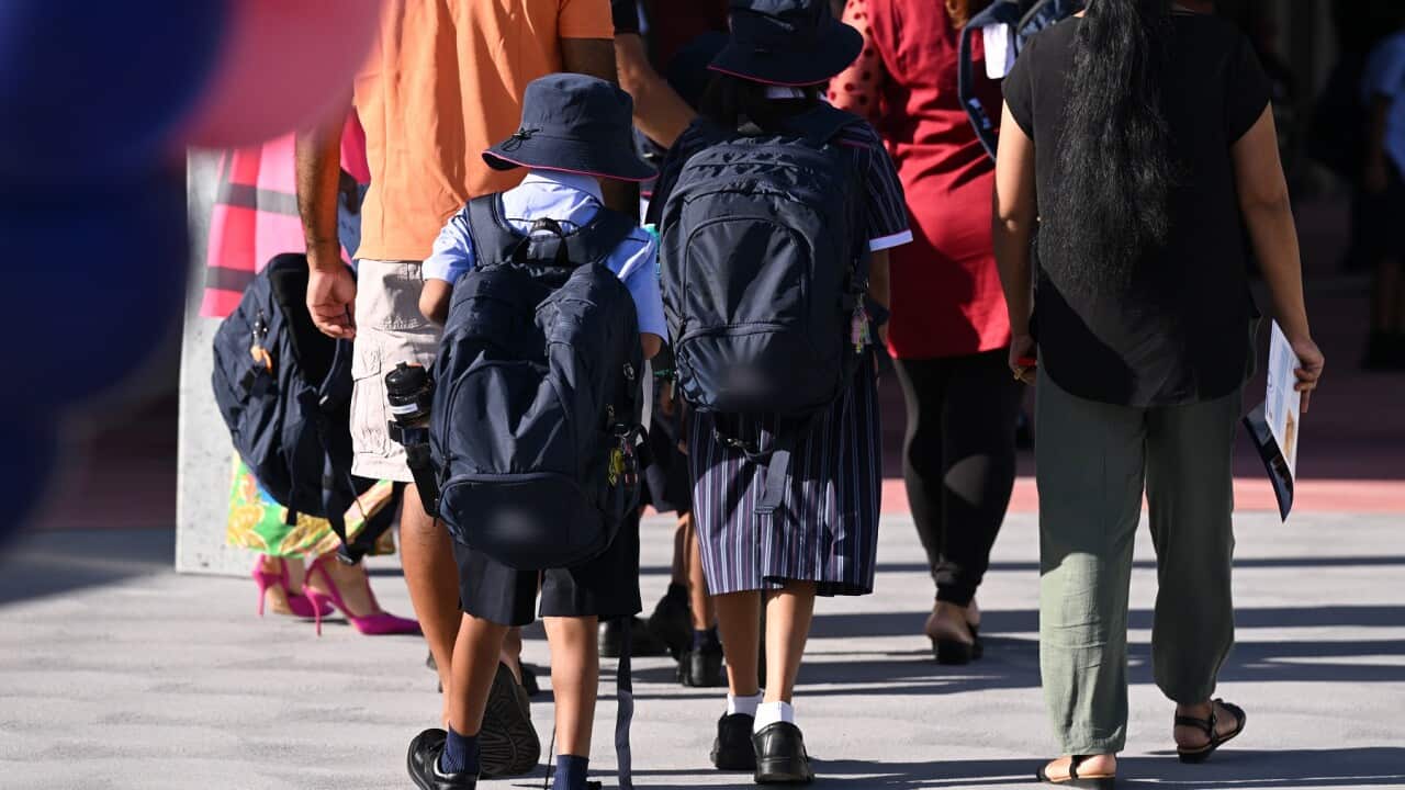 BACK TO SCHOOL NSW STOCK