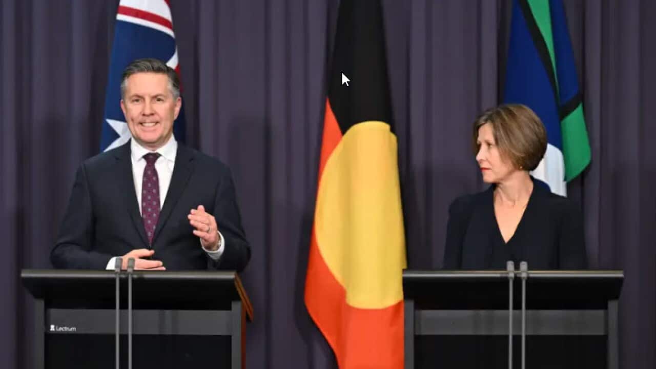 Health Minister Mark Butler and Minister for the NDIS Jenny McAllister spoke at Parliament House on Tuesday, August 18 (AA, Lukas Coch)