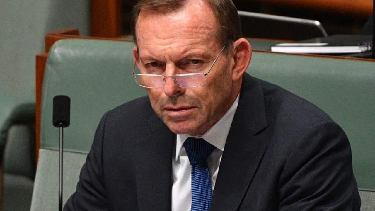 Tony Abbott says he's willing to take back a leadership position within the Liberal party, if asked.