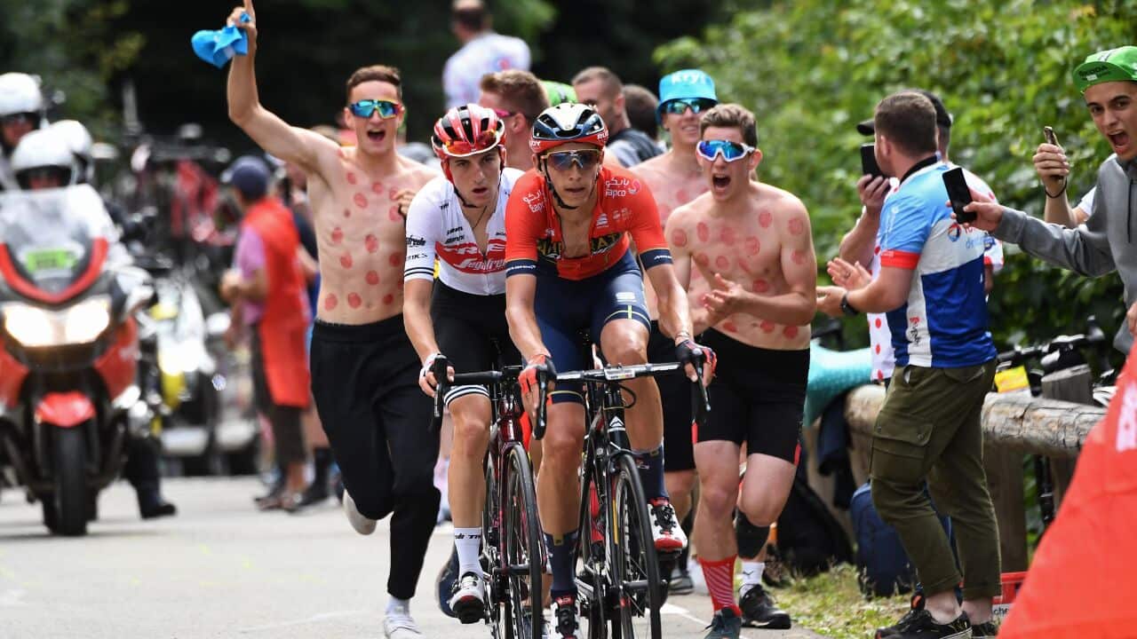 Dylan Teuns, Giulio Ciccone, Bahrina Merida, Trek-Segafredo, Tour de France 2019, Stage 6